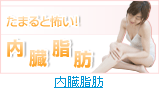 内蔵脂肪